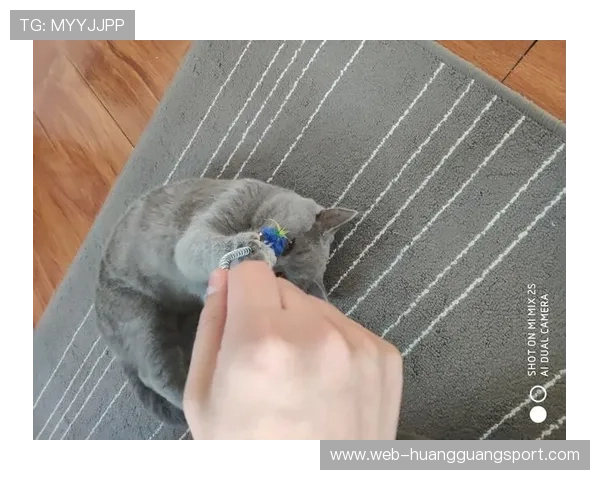 你看看魏秋月赛场上拼得惨烈，生活里居然养了个宠物“贵妇”模样的猫？